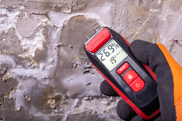 Best Mold Testing  in St Charles, MO