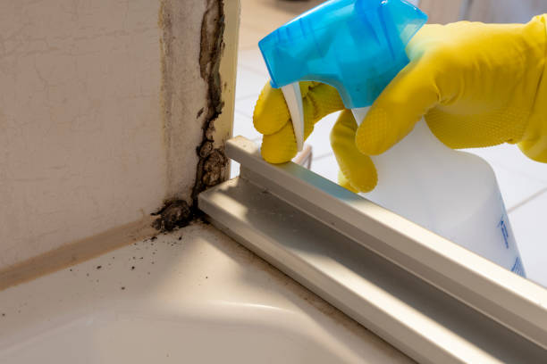 Crawl Space Mold Removal in St Charles, MO